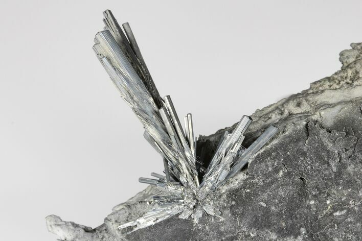 Lustrous, Metallic Stibnite Crystal Spray On Matrix - China #175841
